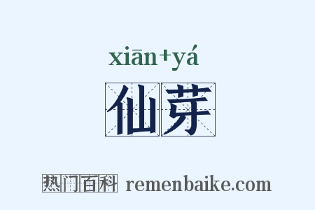 仙芽是什么意思的图片